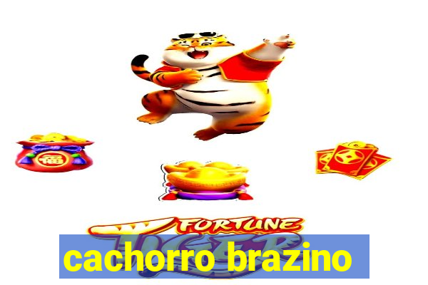 cachorro brazino